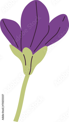 Viola Flower On Stem