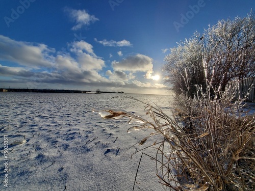 frozen lake in the morning