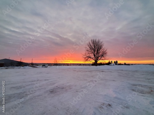 sunrise over the farm 