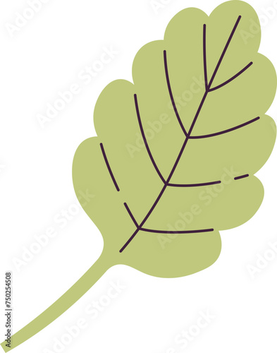 Viola Flower Leaf