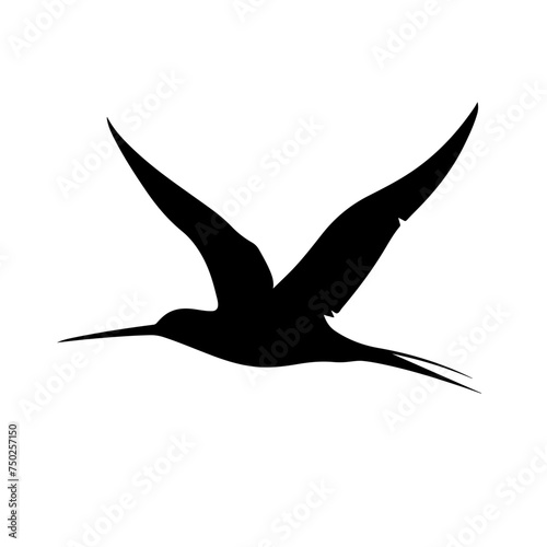 Fototapeta Naklejka Na Ścianę i Meble -  Bird in flight silhouette Logo Design