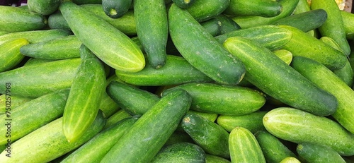 Stack of harvest fresh cucumbers background. Ready for cuisine dish. Sold in traditional market in Indonesia