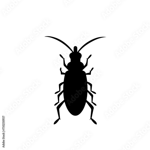 Earwig Insect Logo Design