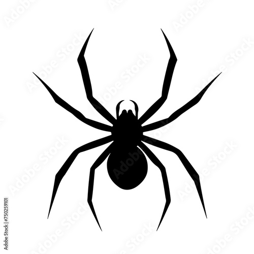 European Garden Spider Logo Design