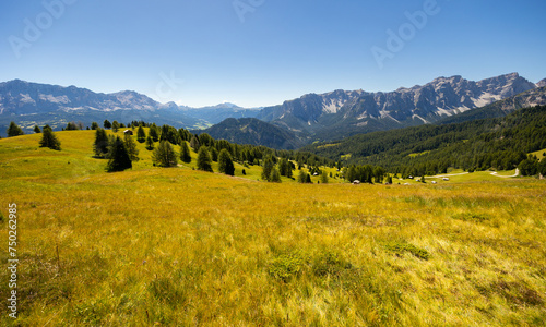 Spectacular scenery with craggy mountain peaks framed by greenery of vast alpine meadows and verdant forests on sunny autumn day. Enchanting nature of Italian Dolomites