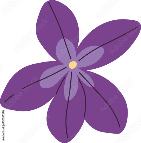 Viola Flower Head