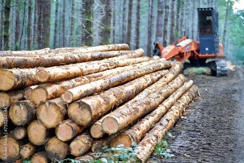Stack of logs with Harvester Forest Machine Logging Equipment in background