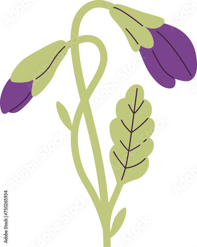 Viola Flowers With Leaves