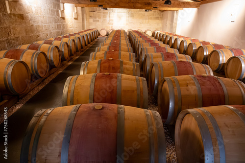 French oak wooden barrels for aging red wine in cellar, Saint-Emilion wine making region picking, sorting with hands and crushing Merlot or Cabernet Sauvignon red wine grapes, France, Bordeaux