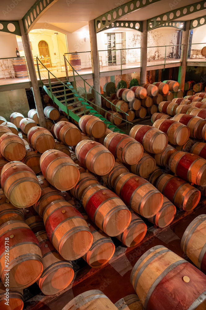 Fototapeta premium French oak wooden barrels for aging red wine in underground cellar, Saint-Emilion wine making region picking, cru class Merlot or Cabernet Sauvignon red wine grapes, France, Bordeaux