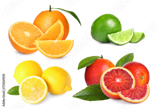 Different fresh citrus fruits isolated on white  set