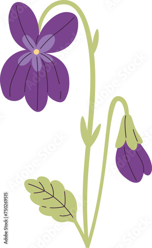 Viola Flowers With Leaves