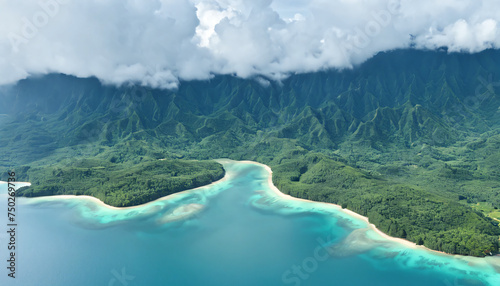 Aerial View of a Tropical Island with Lush Vegetation and Crystal Clear Water