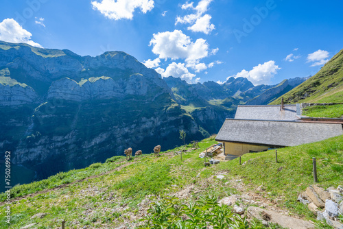 Ebenalp, Alpe Chlus, Canton Appenzell-Innerroden, Switzerland photo