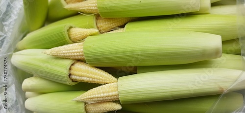 Stack of raw fresh baby corn. Ready to be sold and consumed