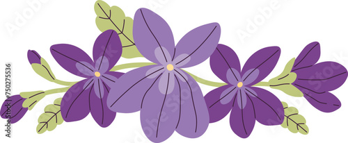 Viola Flowers With Leaves