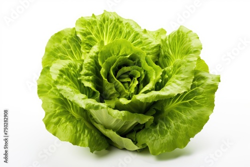 Lettuce, vegetable , white background.