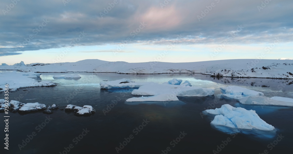 Fototapeta premium Fly over evening Antarctica. Serene beauty of a glaciers surrounded by pristine icy ocean landscape. Untouched wilderness of South Pole. Wildlife in Antarctica, travel and exploration. Drone flight