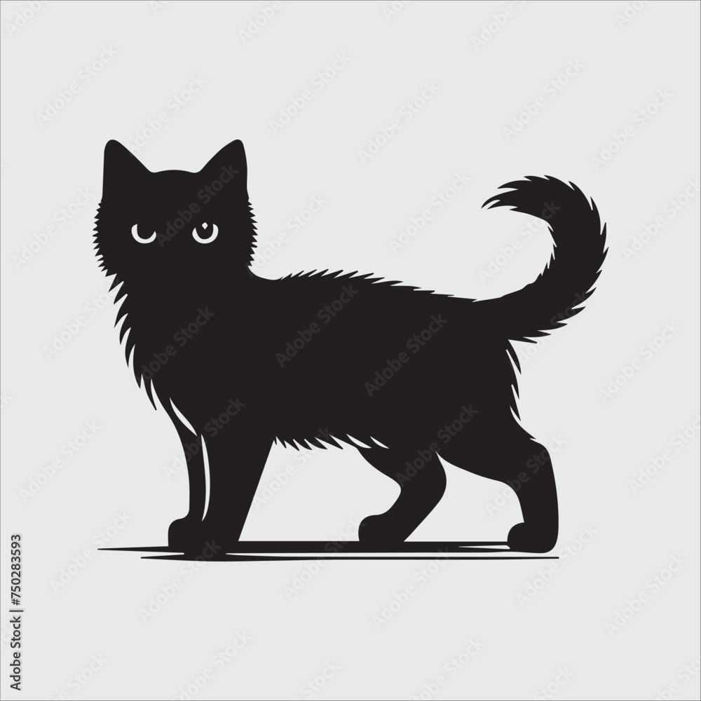 Obraz premium black and white cat