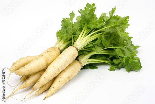 Parsnip, vegetable , white background.