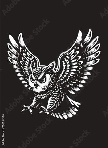 illustration of an owl in flight