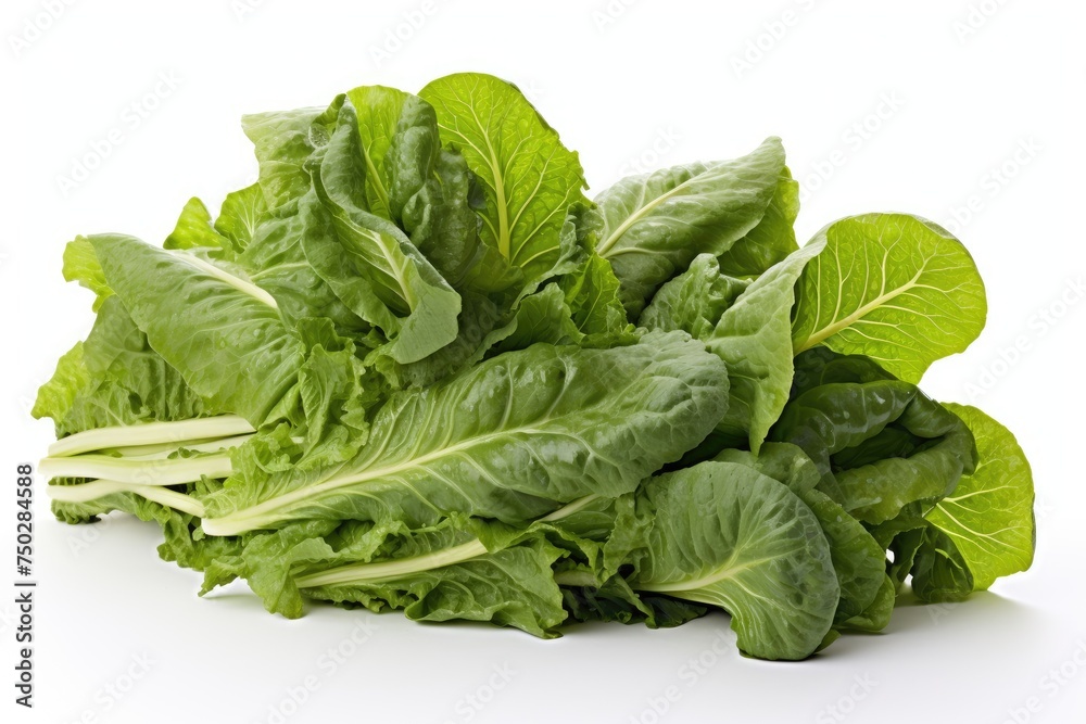 Obraz premium Mustard greens, vegetable , white background.