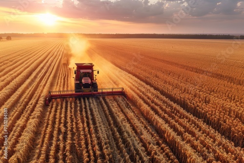 A breathtaking aerial image of combine harvesters at work during sunset in an expansive wheat field with a horizon line