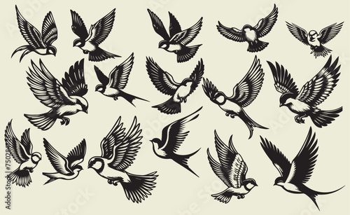 set of birds