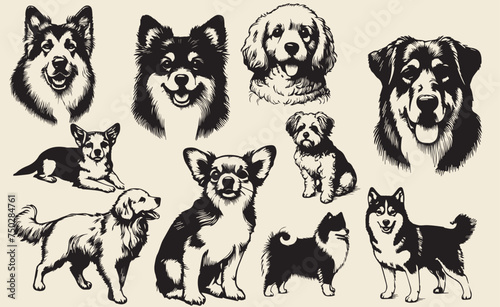 set of black and white dogs