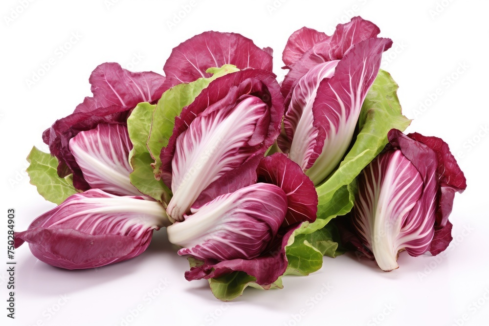 Radicchio, vegetable , white background. Radicchio, vegetable , white background.