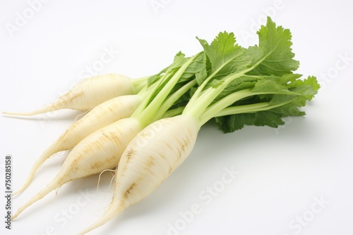 Daikon, vegetable , white background.