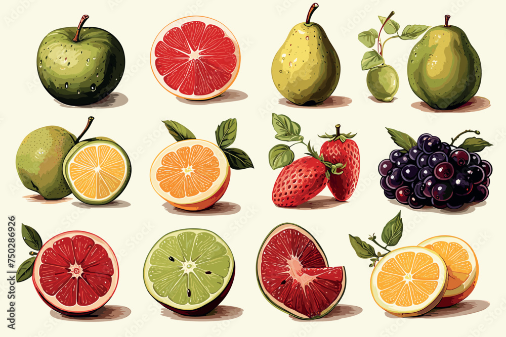 Set of watercolor painted citrus with leaves: lemon, orange, lime, mandarin, grapefruit, kiwi, pomelo, bergamot.