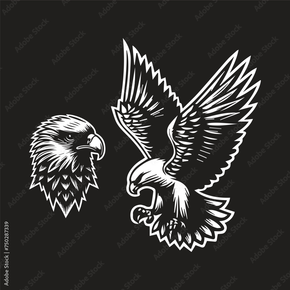 Obraz premium eagle with wings