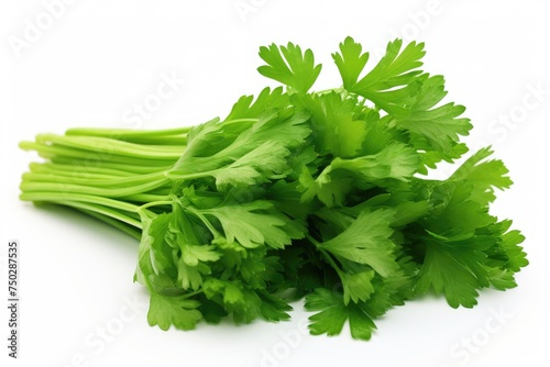 Parsley, vegetable , white background.