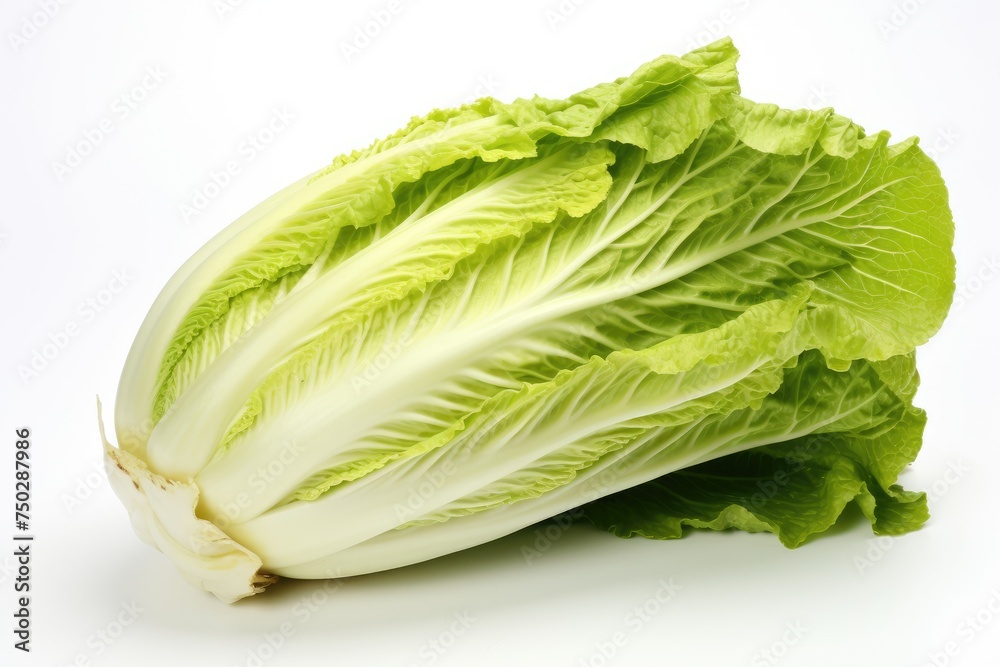 Chinese cabbage, vegetable , white background. Chinese cabbage, vegetable , white background.