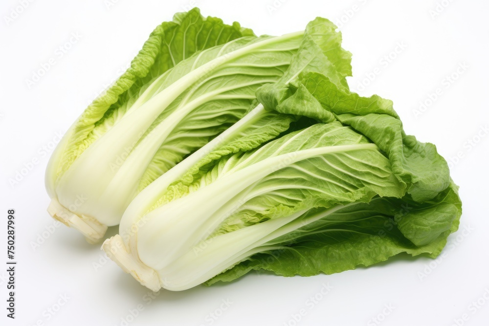 Chinese cabbage, vegetable , white background. Chinese cabbage, vegetable , white background.