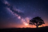 Lone Tree under the Milky Way in Australian Landscape