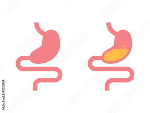 Stomach. Human internal organs. Gastrointestinal tract. guts