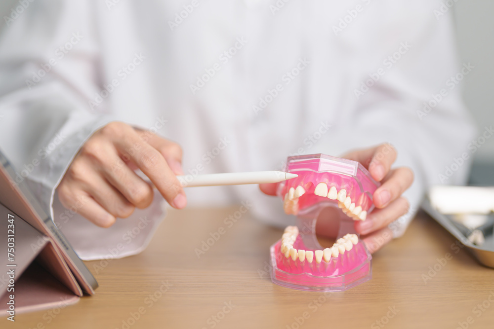 Dentist with tooth Anatomy model. Oral Teeth and disease, Scrape off