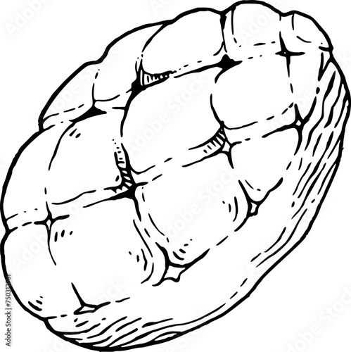 Loaf hand drawn illustration.