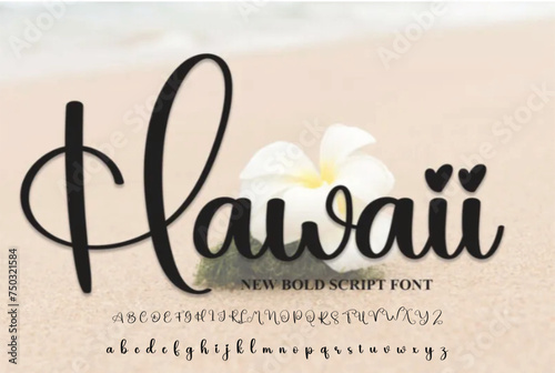 Signature Font Calligraphy Monoline Script Brush Font Type Font lettering handwritten