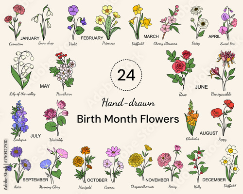 24 Birth Month Flowers Vector Line Art in the Minimal Style Drawing, Hand-drawn, For Birthday, Crafting, Cricut, Laser Cut File, Art Print