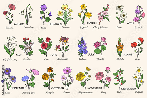 24 Birth Month Flowers Hand-drawn Line Art Illustration, Minimal Style Flower