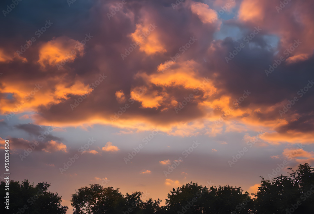 Dramatic sunset sky with fiery clouds over silhouette of trees.