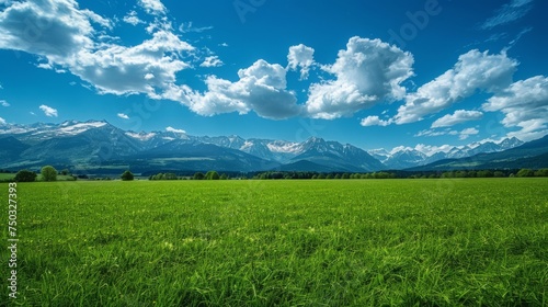 vast expanse of verdant green stretches towards majestic mountains bathed in soft light