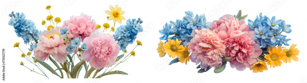 flower Peonies, Hyacinths, Daisies, transparent background