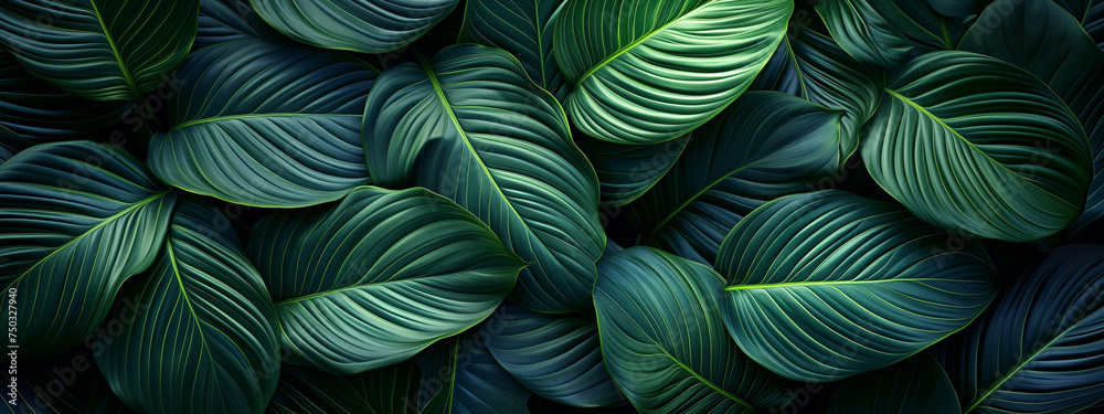 Tropical leaves background. Green leaf banner and floral jungle pattern concept. abstract green leaf texture.