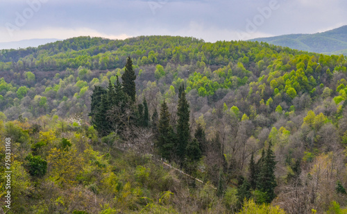 scenic view of Yesil Vadi (Green Valley) near Termal (Yalova, Turkiye) 