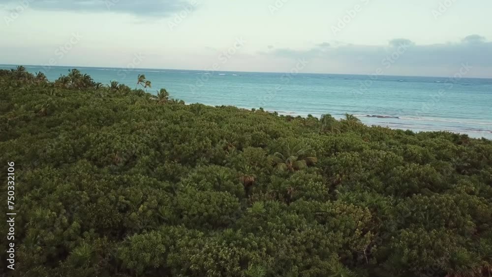 Low Aerial view of the vegetetion right next to the see as the drone flights toward de beach in the SIan Kann Reserve, near by Tulum in the Riviera Maya Low Aerial view of the vegetetion right next to the see as the drone flights toward de beach in the SIan Kann Reserve, near by Tulum in the Riviera Maya