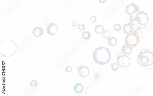 bubble transparent . soap bubbles isolated on white PNG bubble transparent